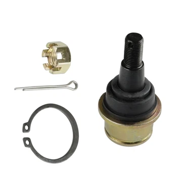 זרוע זרוע ראש הכדור